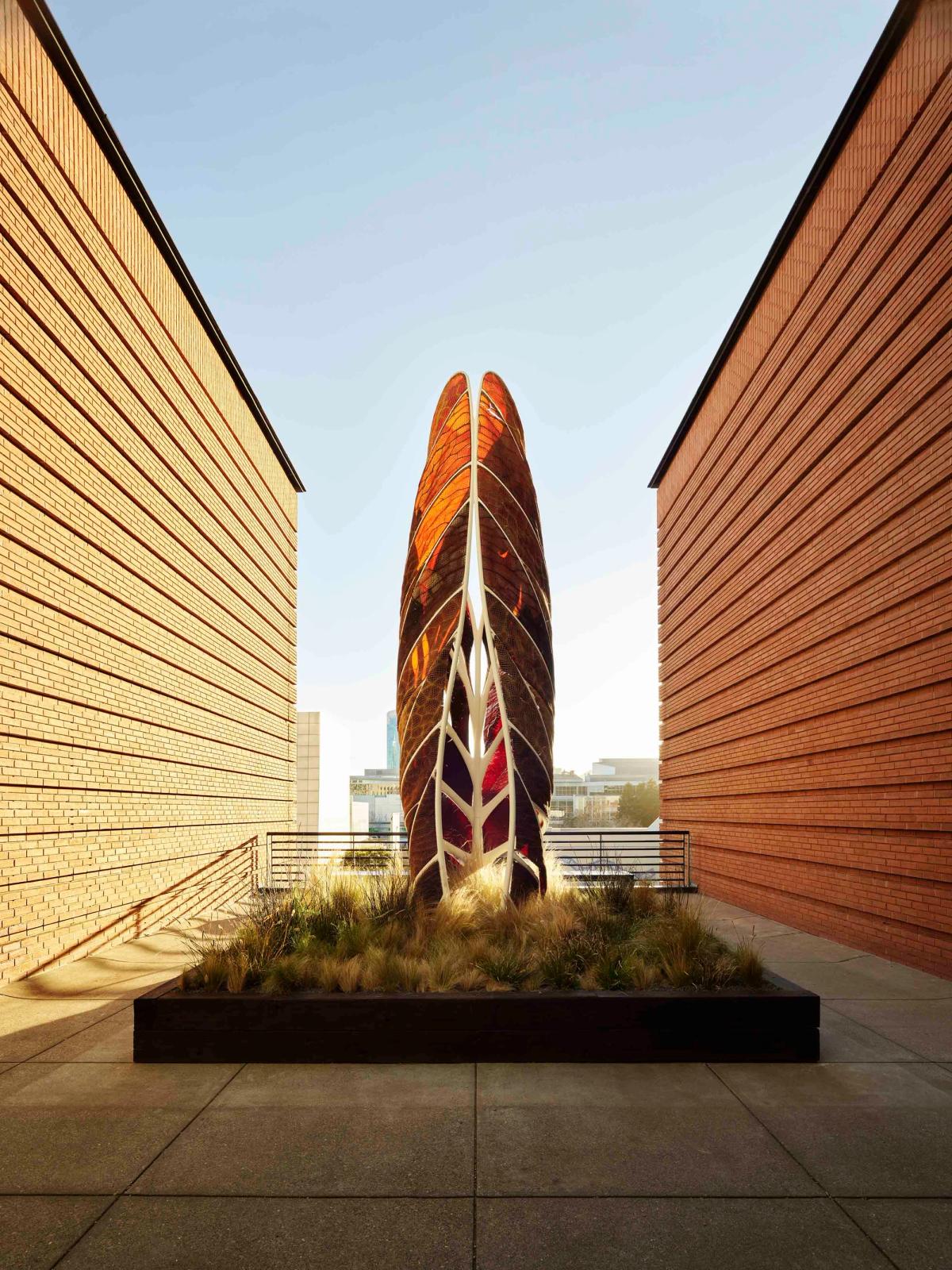 Neri Oxman et The Mediated Matter Group, Aguahoja Pavilion (vue frontale), 2018, chitosan, cellulose de pâte à papier, pectine de fruits, carbonate de calcium, acide acétique et glycérine végétale, panneaux en plastique et acier, composants métalliques et électriques, San Francisco Museum of Modern Art. © Massachusetts Institute of Technology. Photo Matthew Millman