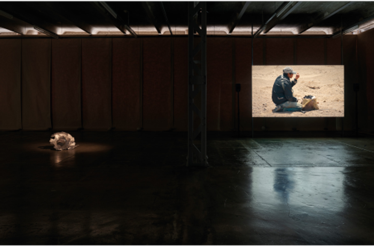 Vue d’exposition, «La huaca pleure. Louidgi Beltrame», Ivry-sur-Seine, Le Crédac, 2024. Courtesy du Crédac. Photo Marc Domage