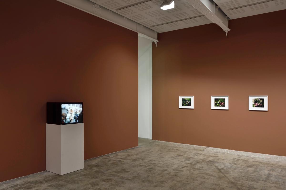 Vue de l’exposition « Steve McQueen : Bounty » chez Marian Goodman, Paris. Courtesy de l’artiste et de Marian Goodman. Photo Rebecca Fanuele