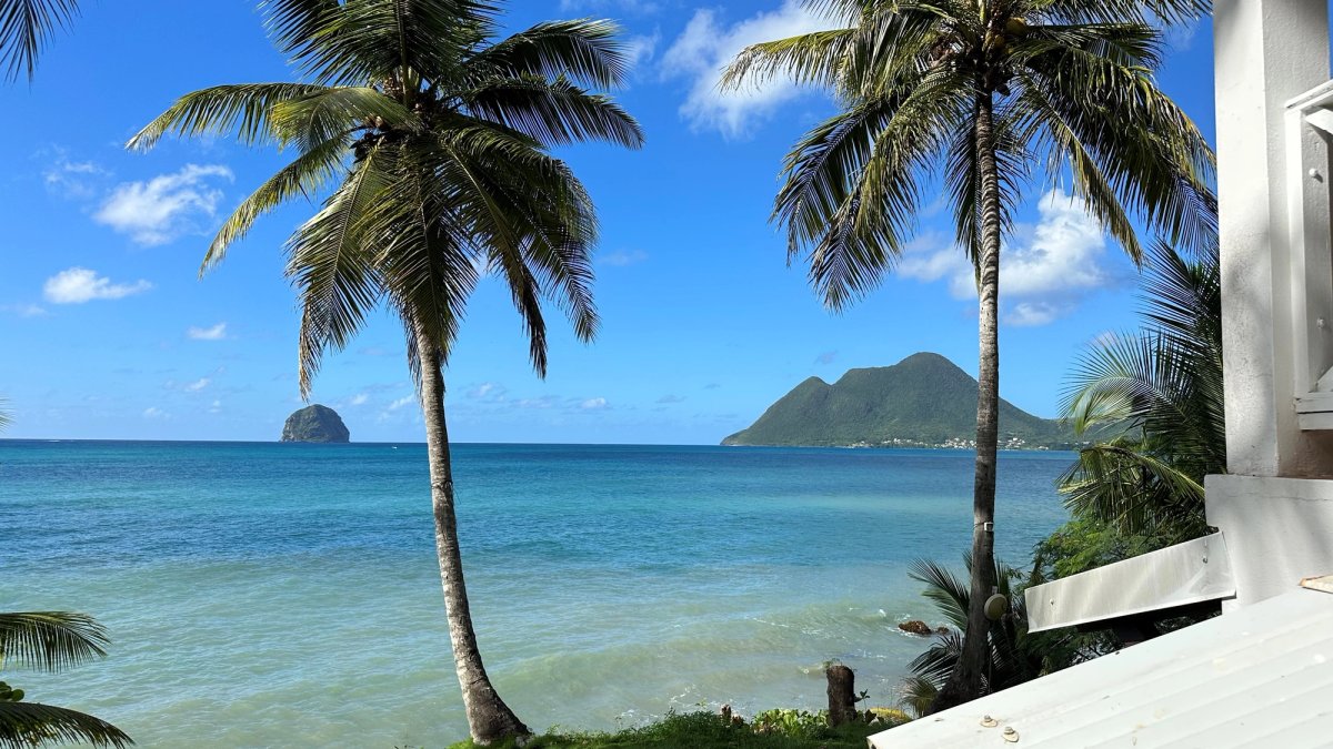 Vue depuis la maison d'Édouard Glissant, en Martinique. Courtesy Edouard Glissant Art Fund