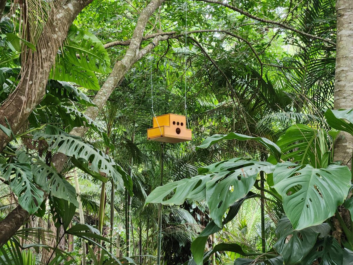 Casas de pássaros (maisons des oiseaux), installation de Paulo Nazareth dans le jardin de l'ombre et de l'eau fraîche à Inhotim, 2024. Photo Serafim Cruz