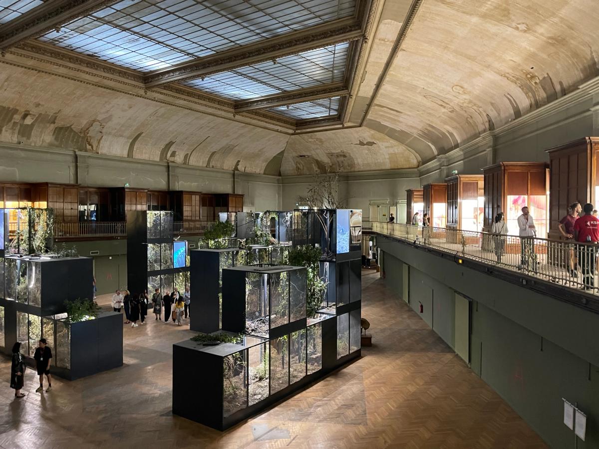 Ugo Schiavi, Grafted Memory System, 2022, au musée Guimet. Commande à l'occasion de la 16e édition de la Biennale de Lyon. Photo : Stéphane Renault