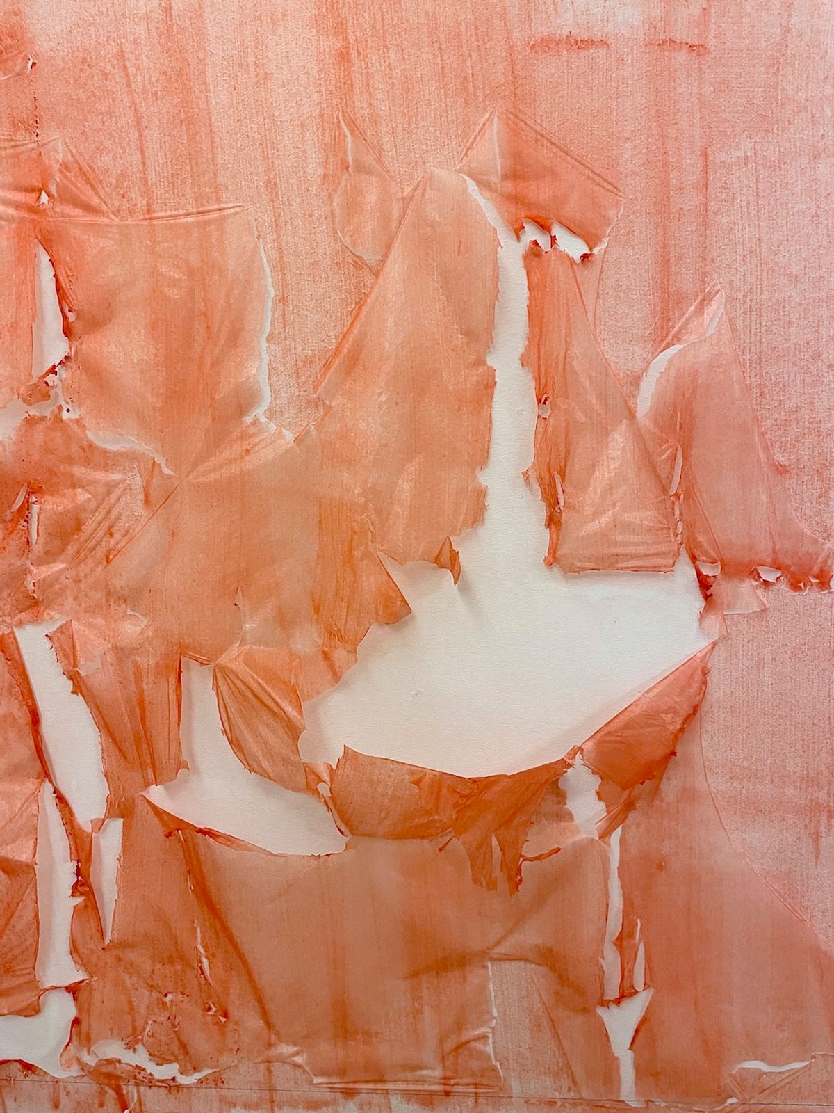 Michel Blazy, Mur de pellicules (rouges), 2011-2015, Agar-agar, eau et colorant alimentaire.
Centre Pompidou, Paris, Musée national d’art moderne – Centre de création industrielle. Exposition « mode d’emploi », MAMCS, 2024. Photo : M. Bertola, Musées de Strasbourg © ADAGP, Paris 2024