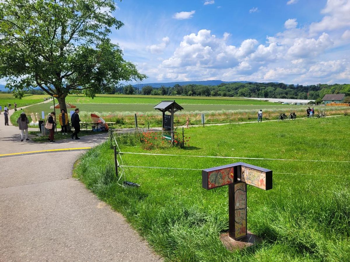 Basel Social Club investit cette année un site champêtre aux abords de Bâle, ici avec une œuvre de Sam Falls. Photo A.C.