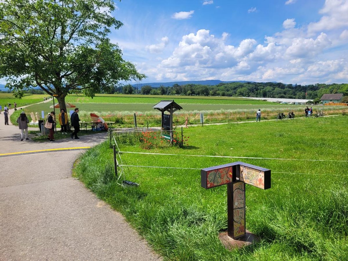 Basel Social Club investit cette année un site champêtre aux abords de Bâle, ici avec une œuvre de Sam Falls. Photo A.C.
