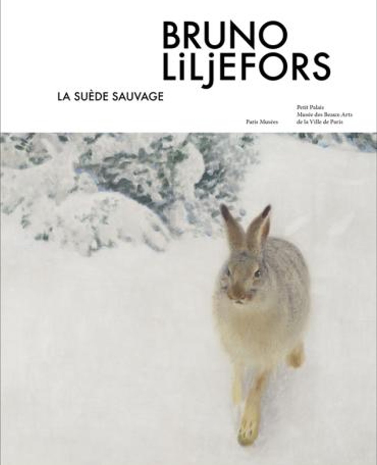Sandra Buratti-Hasan et Carl-Johan Olson, Bruno Liljefors - La Suède sauvage, Paris Musées, 2024, 150 pages, 120 illustrations, 35 euros.