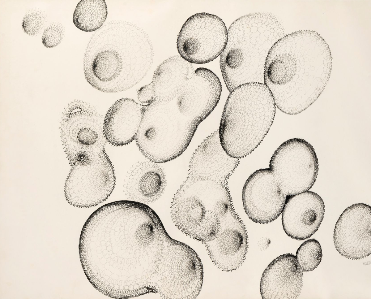 Bernard Réquichot, Composition, 1957, encre, 73 x 105 cm. Courtesy Ader