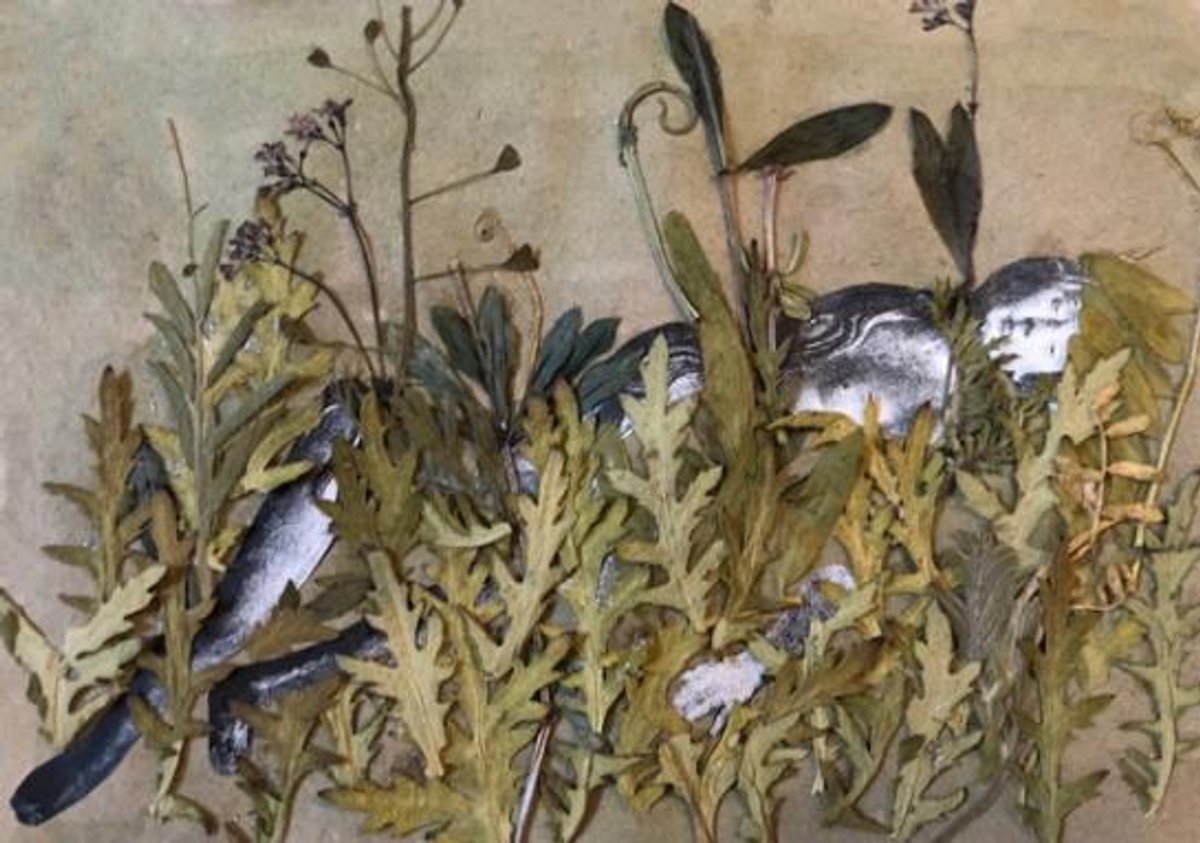 Wiktoria, To overgrow, 2023, impression jet d’encre et collage d’herbes. © Wiktoria