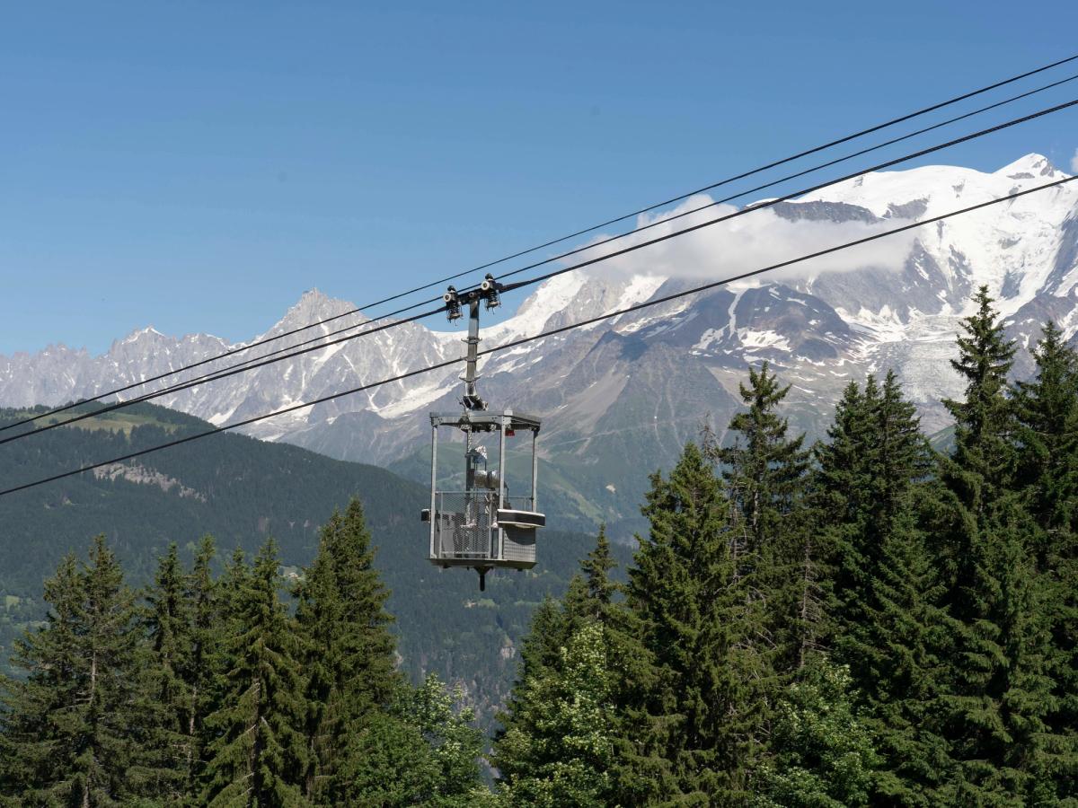 Oliver Laric, Gypaète barbu, Artocene 2025. © Julien Gremaud