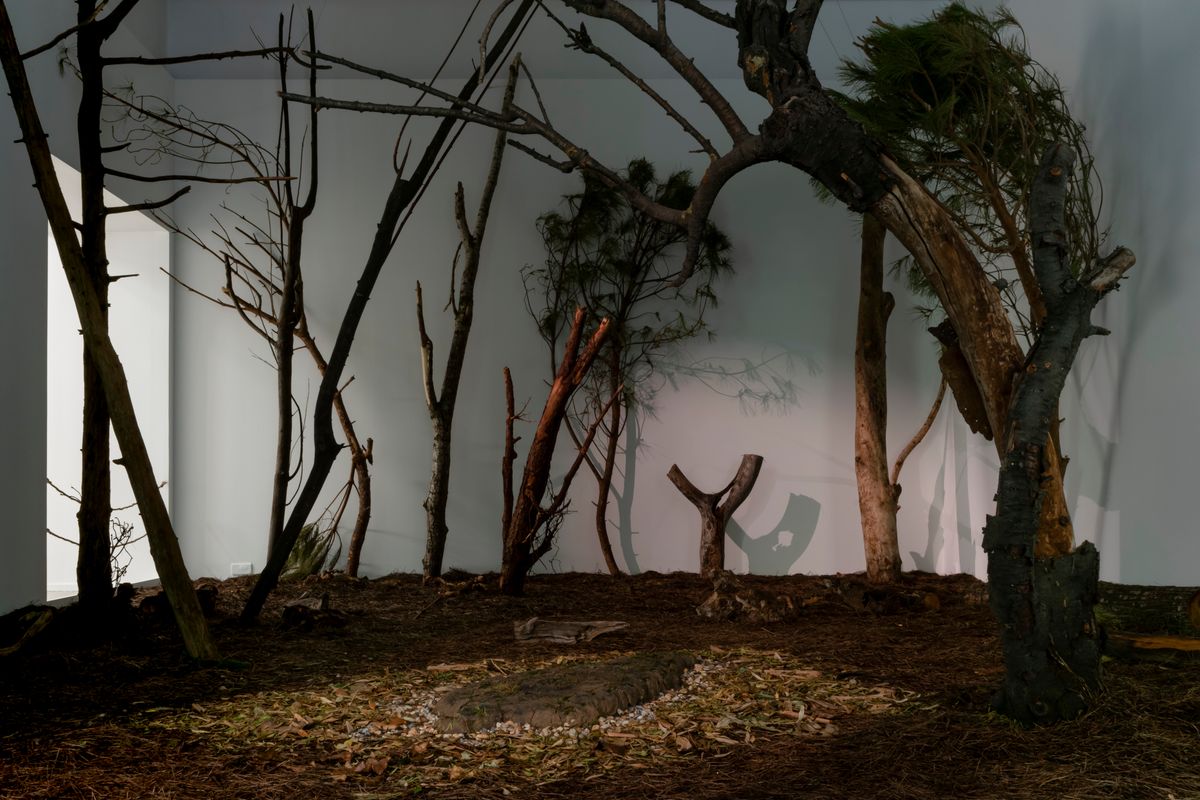 Vue de l'exposition « Ana Mendieta. Aux commencements », MO.CO. Panacée, Montpellier, 2023. © The Estate of Ana Mendieta Collection, LLC. Courtesy The Estate of Ana Mendieta Collection, LLC et Galerie Lelong & Co. / Adagp, Paris, 2023. Photo : Pauline Rosen-Cros