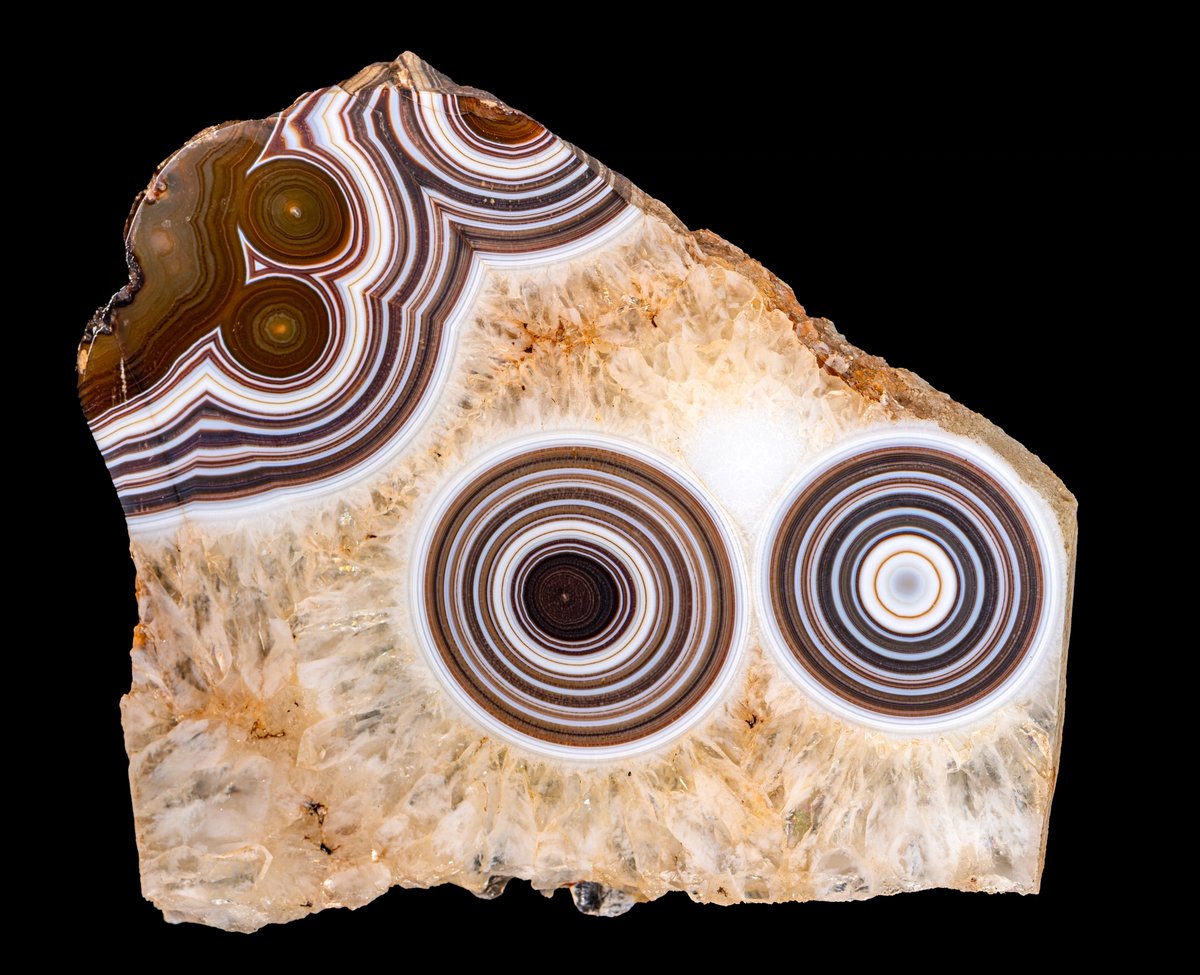 « Œil et binocle », agate œillée dans quartz, Artigas (Uruguay). Paris, Muséum national d'histoire naturelle, collection de minéraux et gemmes, cliché François Farges