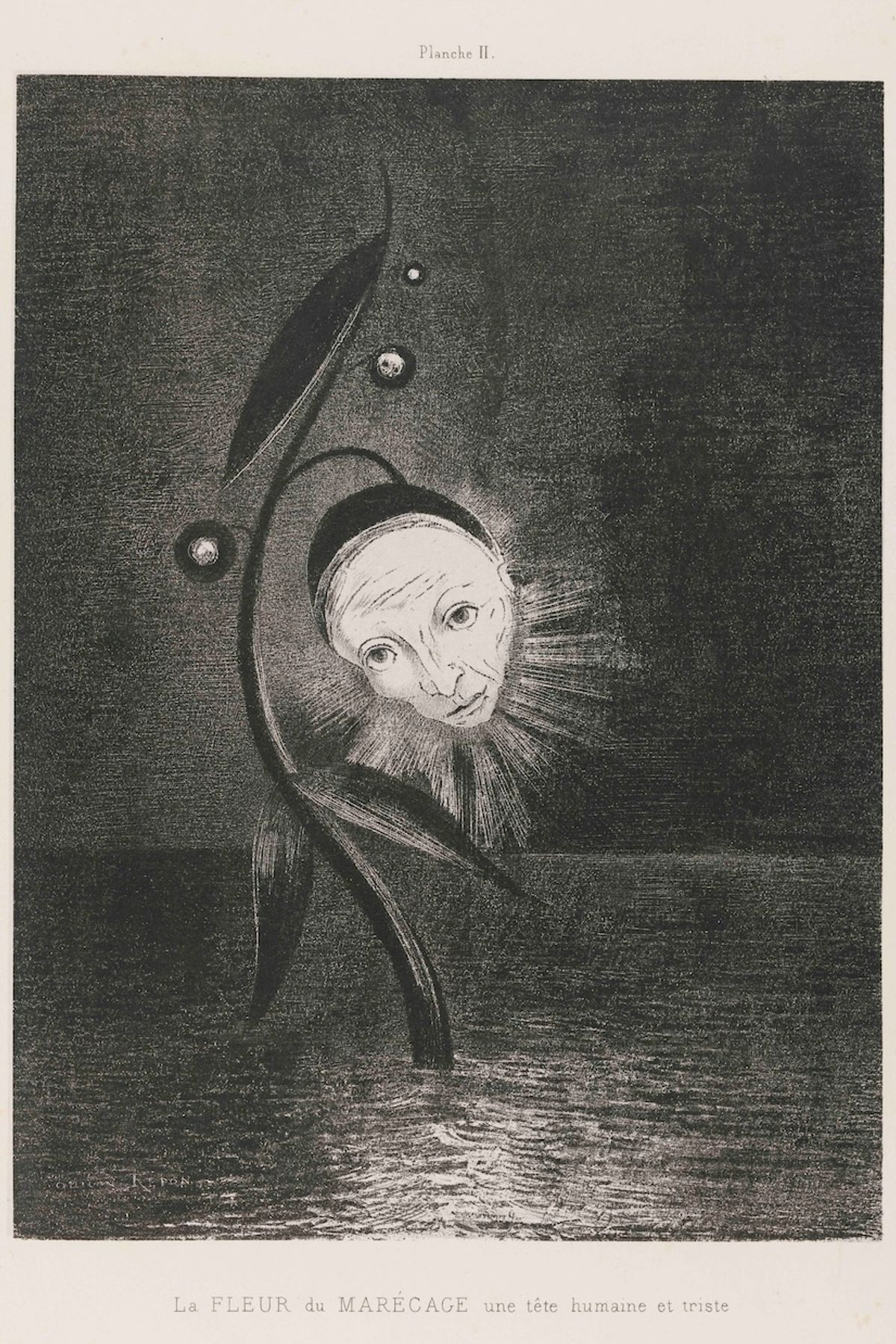 Odilon Redon, La fleur de marécage, une tête humaine et triste. Planche II de la série Hommage à Goya, 1885, musée des Beaux-Arts de Bordeaux. Lithographie sur papier de Chine appliqué sur papier vélin.
© Photo : F. Deval, mairie de Bordeaux.