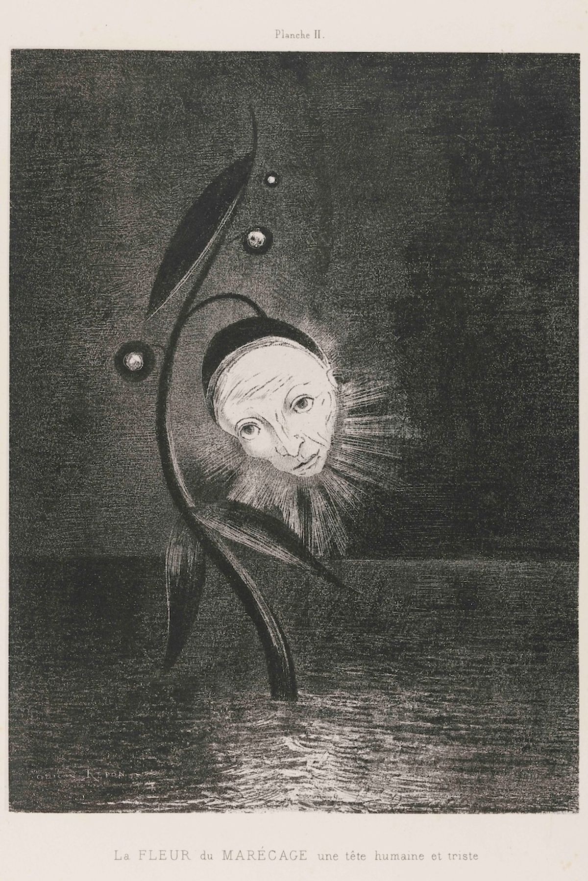 Odilon Redon, La fleur de marécage, une tête humaine et triste. Planche II de la série Hommage à Goya, 1885, musée des Beaux-Arts de Bordeaux. Lithographie sur papier de Chine appliqué sur papier vélin.

© Photo : F. Deval, mairie de Bordeaux.