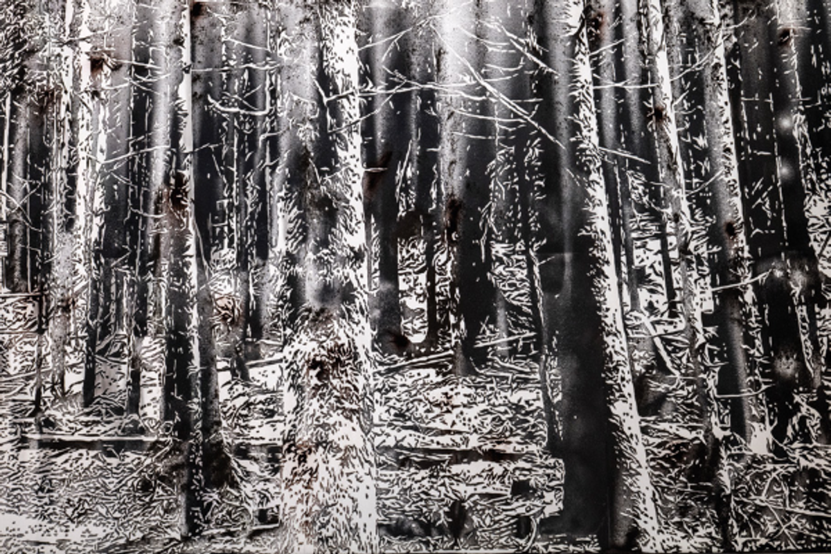 Nicolas Daubanes, Ancien camp de concentration de Natzweiler-Struthof, forêt (détail), 2025, poudre de fer aimantée sur papier. © Nicolas Daubanes. Photo Didier Plow