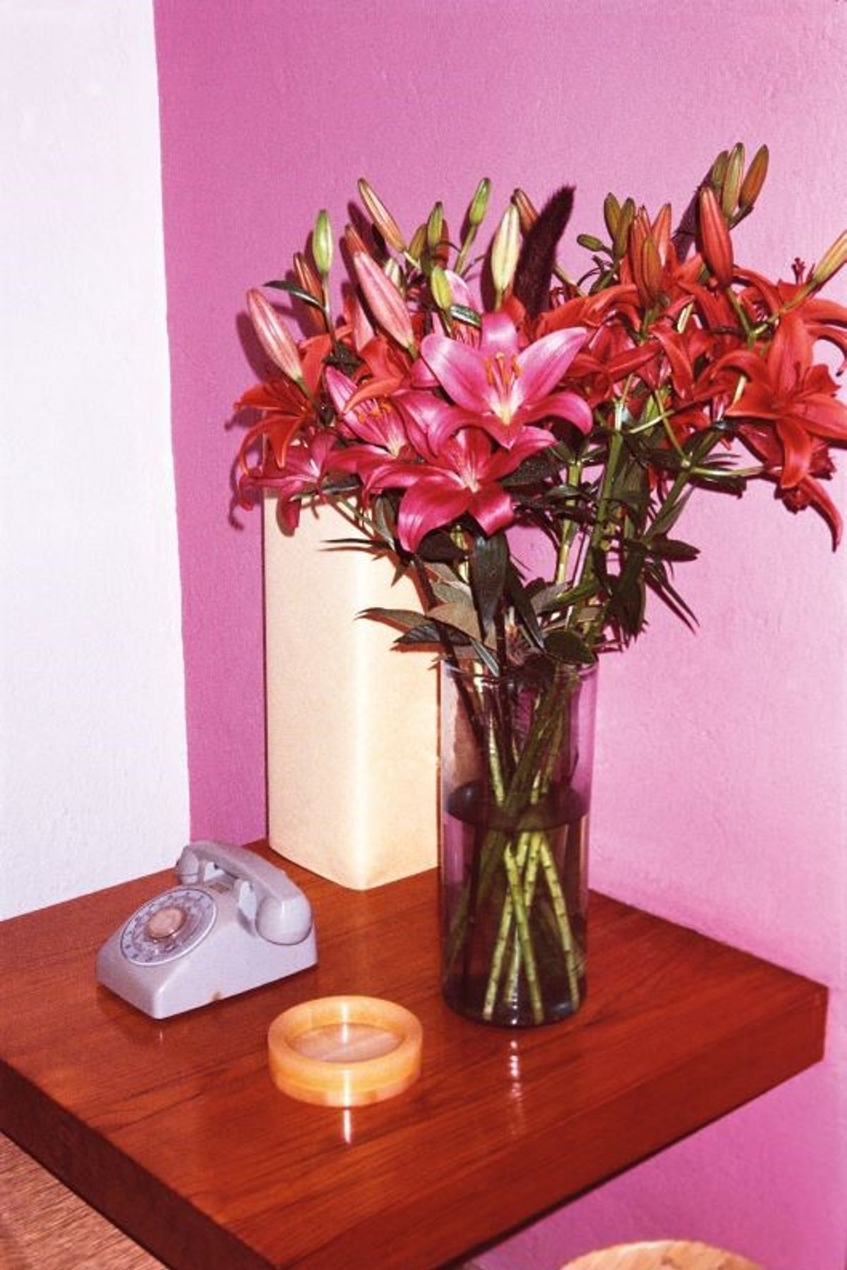 Lake Verea, Téléphone, 2011-2013, C-print sur papier Kodak Endura.

Courtesy de l’artiste et de la galerie Bendana|Pinel Art Contemporain, Paris