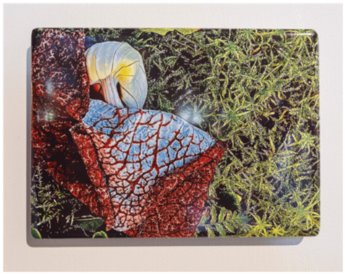 Anne et Patrick Poirier, Herbarium Memoriae, 2018, techniques mixtes.
© Photo Eric Sander