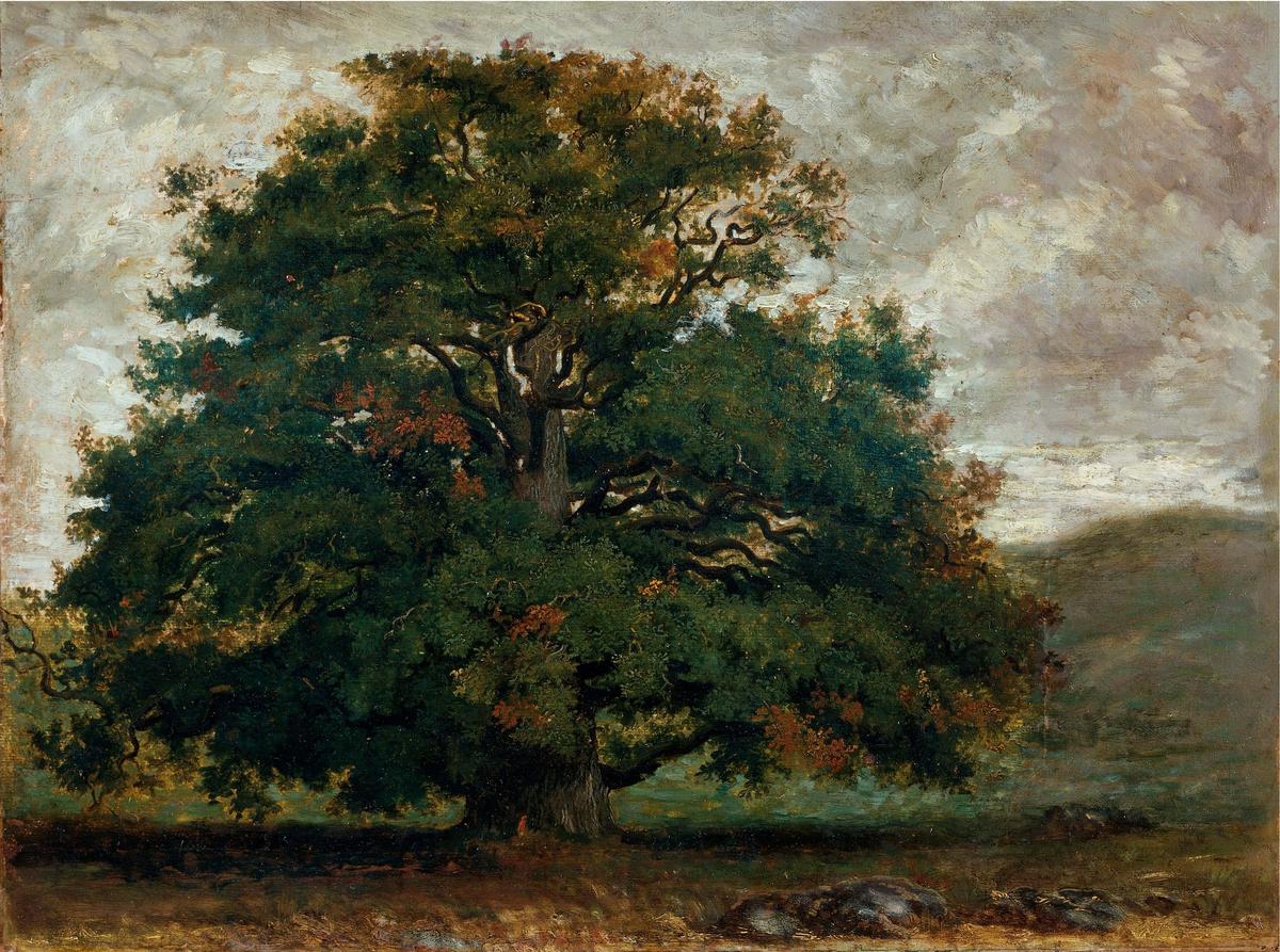 Théodore Rousseau, Arbre dans la forêt de Fontainebleau, 1840-
1849, huile sur papier marouflé sur toile, 40,4 × 54,2 cm. Victoria and Albert Museum, Londres, Royaume-Uni. Photo © Image Victoria and Albert Museum, London.