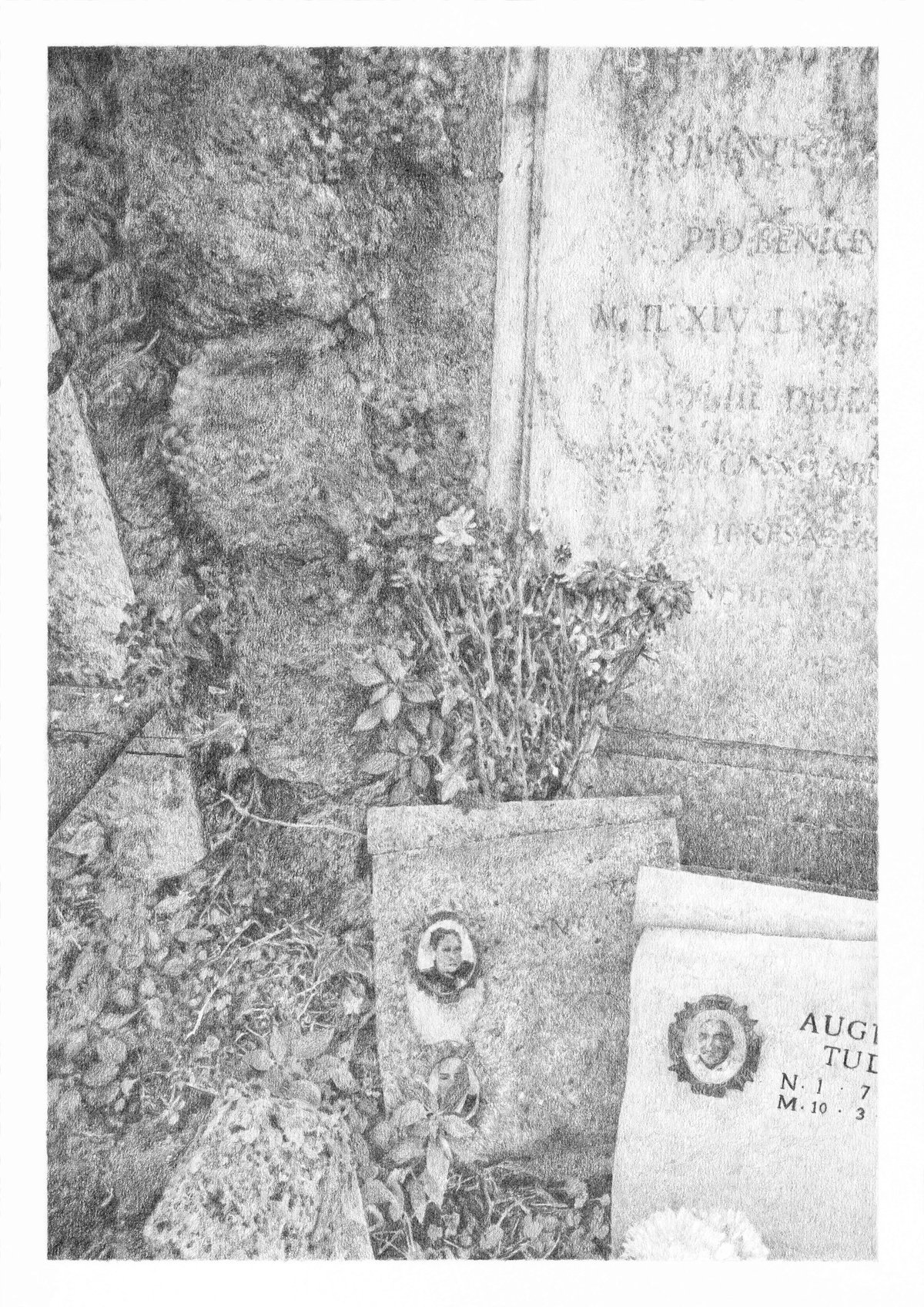 Morgane Fontaine, Sans titre, de la série Poussières Fantômes (dessin N°4), Graphite sur papier dessin 180g, 29,7 x 42 cm, 2025.
© D.R.