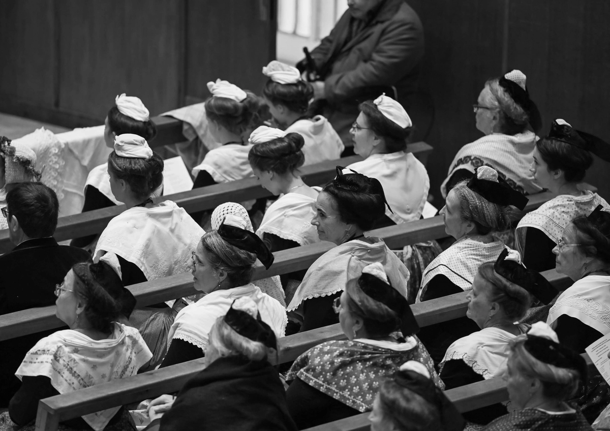 Jan D, Prémices du riz (13.04.2024). Photo : Jan D