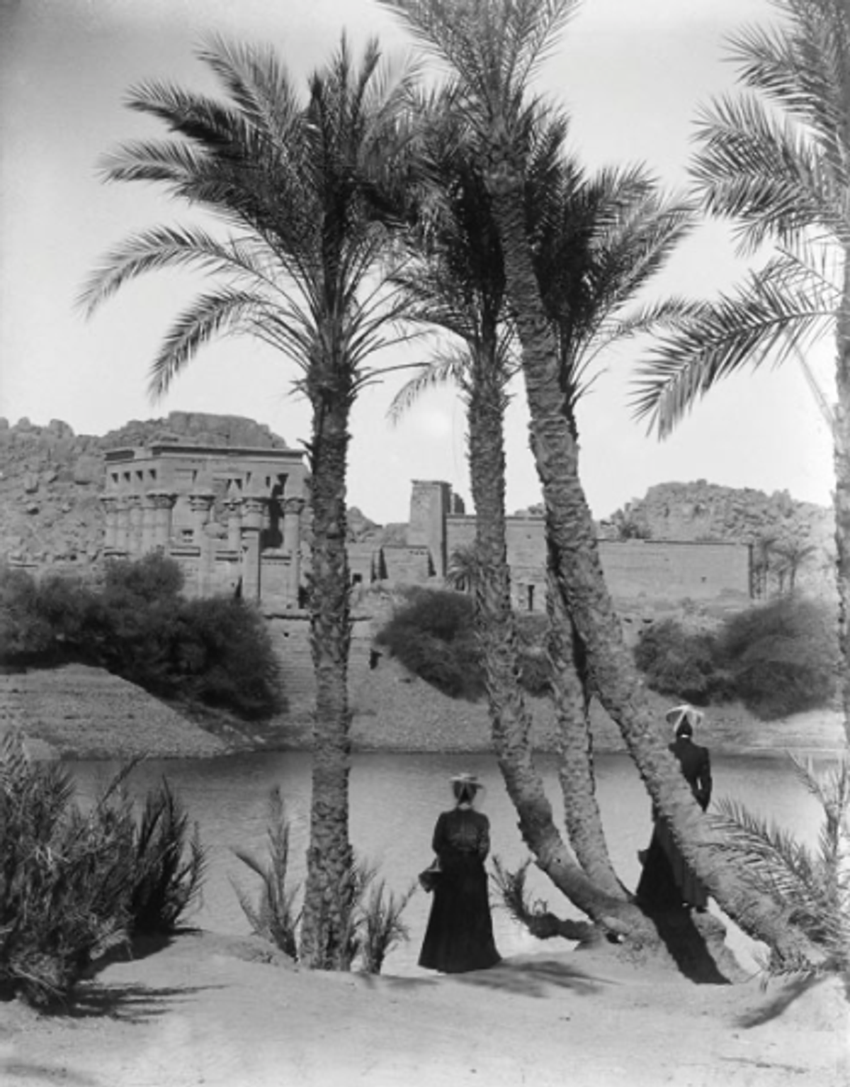 Le temple et les palmiers au bord du Nil, île de Philae (Égypte), vers 1900. © Léon et Lévy / Roger-Viollet