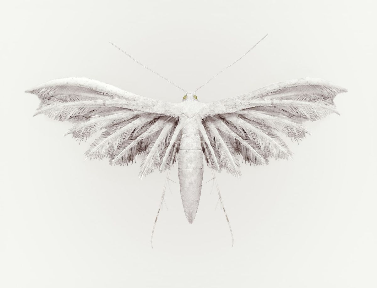 Vincent Fournier, Rain Bird. © Vincent Fournier