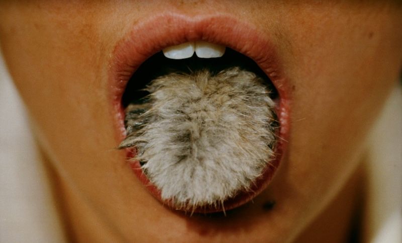 Bady Minck, La Belle est la Bête, 2005, photogramme.

© Bady Minck. Courtesy de sixpackfilm