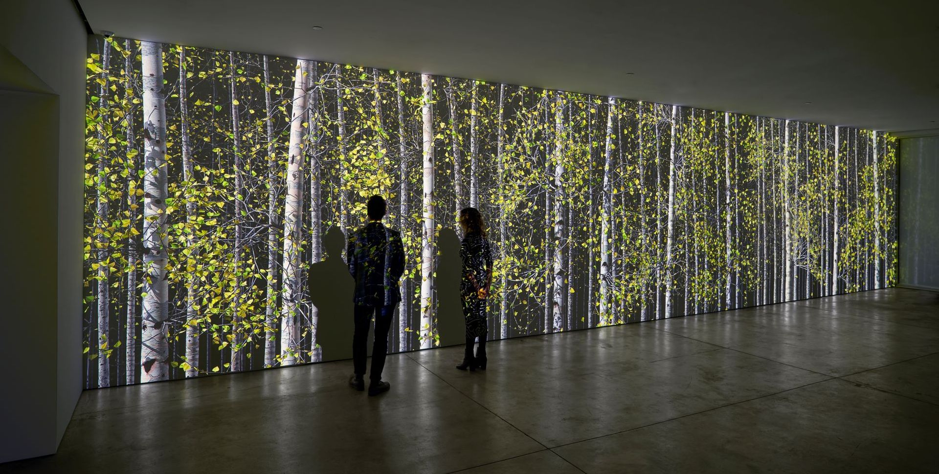 Jennifer Steinkamp, Blind Eye 3, 2019, installation vidéo, dimensions variables. © Collection Martin Z. Margulies. Courtesy Lehmann Maupin, New York