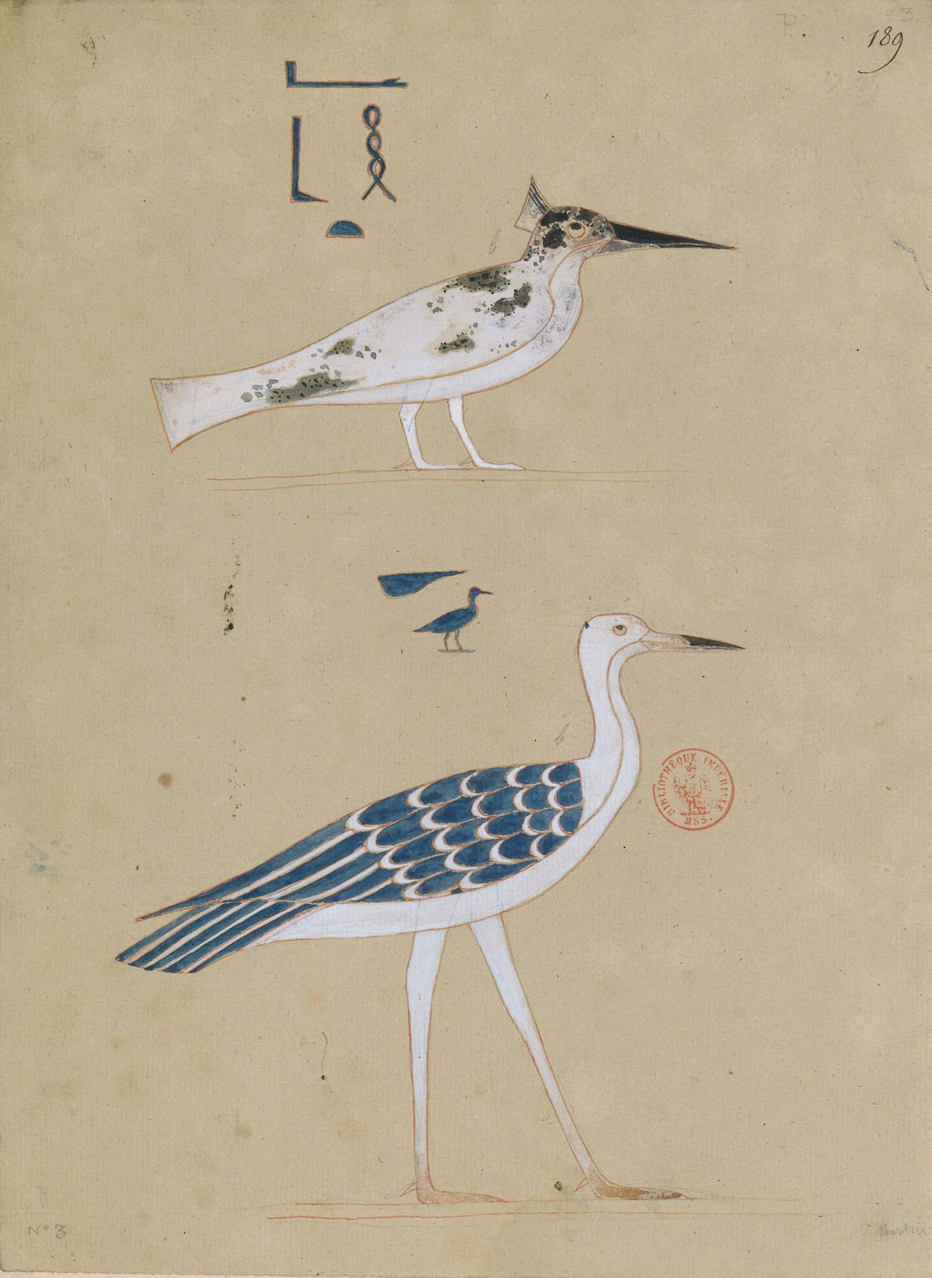 Jean-François Champollion, « Les oiseaux », Monuments de l’Égypte et de la Nubie, 1835-1845, manuscrit, BnF, département des Manuscrits. © BnF