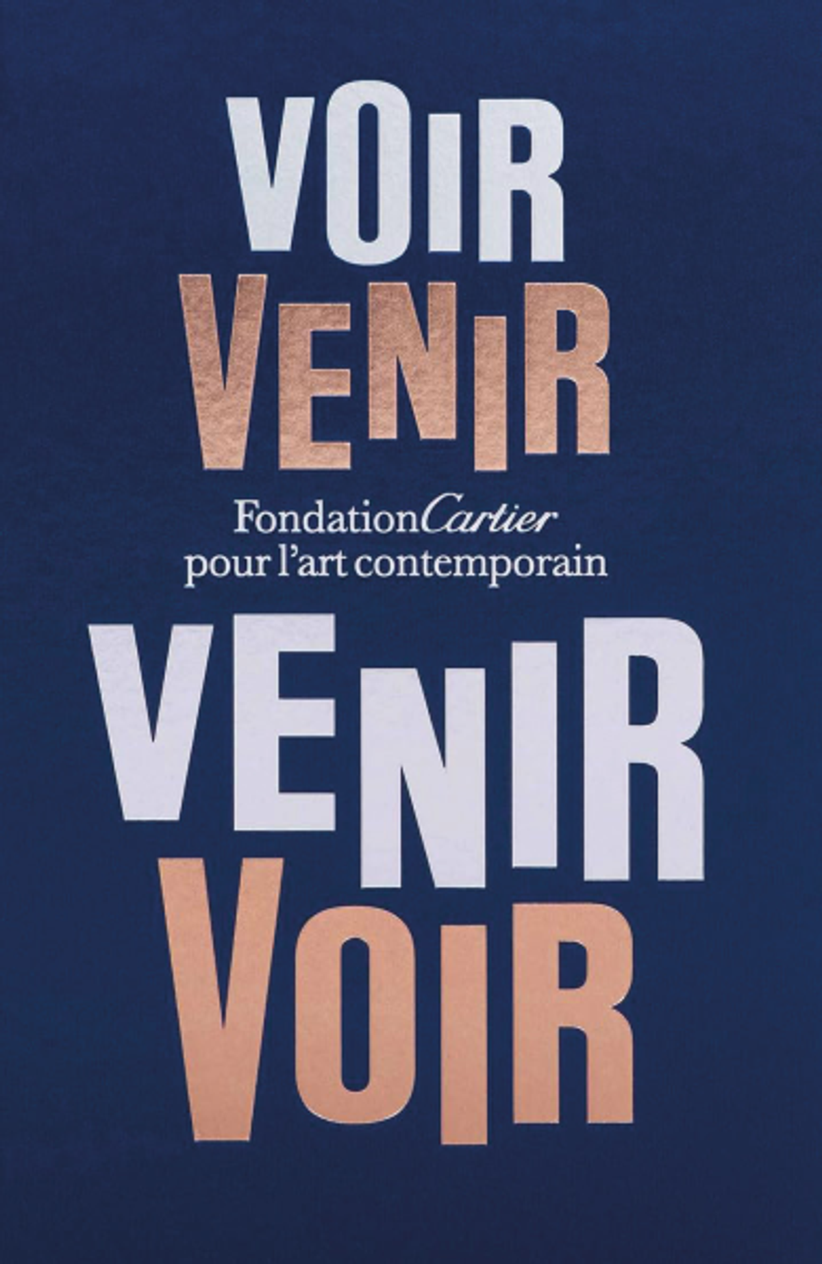 Voir venir. Venir voir, Paris, Éditions Fondation Cartier pour l’art contemporain, 2024.