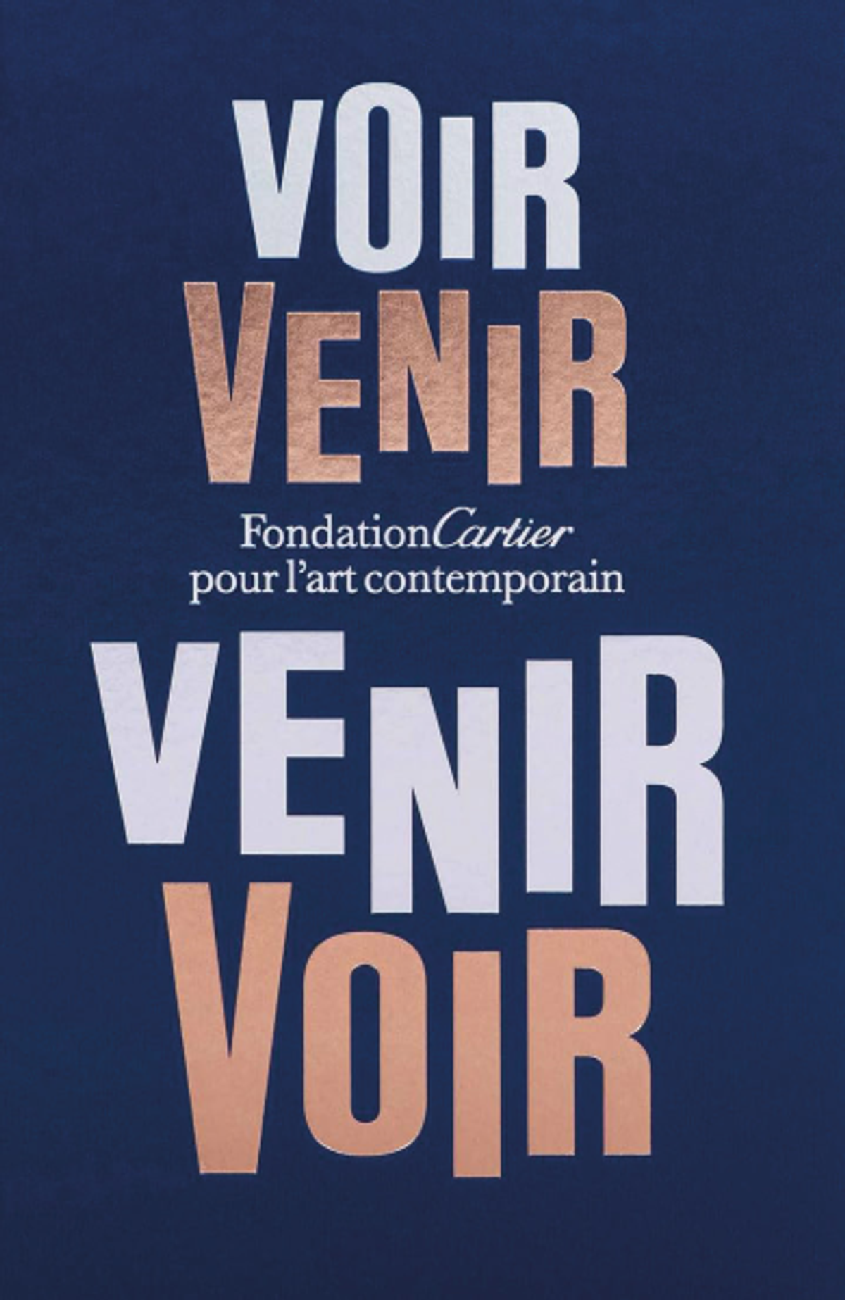 Voir venir. Venir voir, Paris, Éditions Fondation Cartier pour l’art contemporain, 2024.