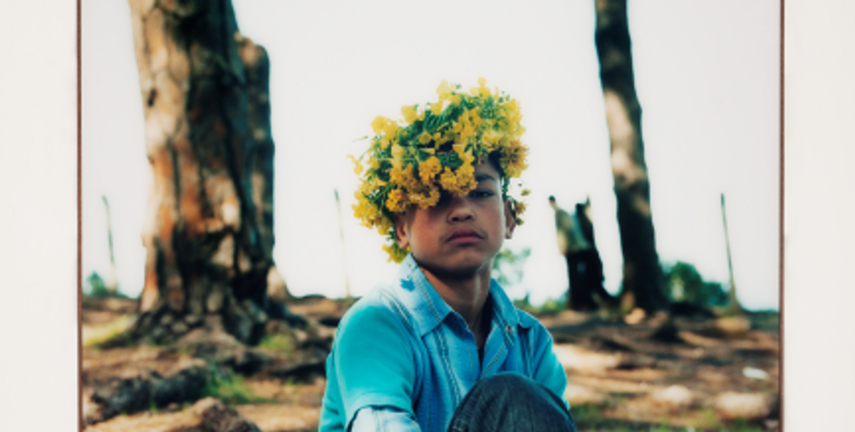 Yto Barrada, Couronne d’Oxalis (détail), de la série Iris Tingitana 2007, collection FRAC Nouvelle-Aquitaine MÉCA. Photo: Jean-Christophe Garcia