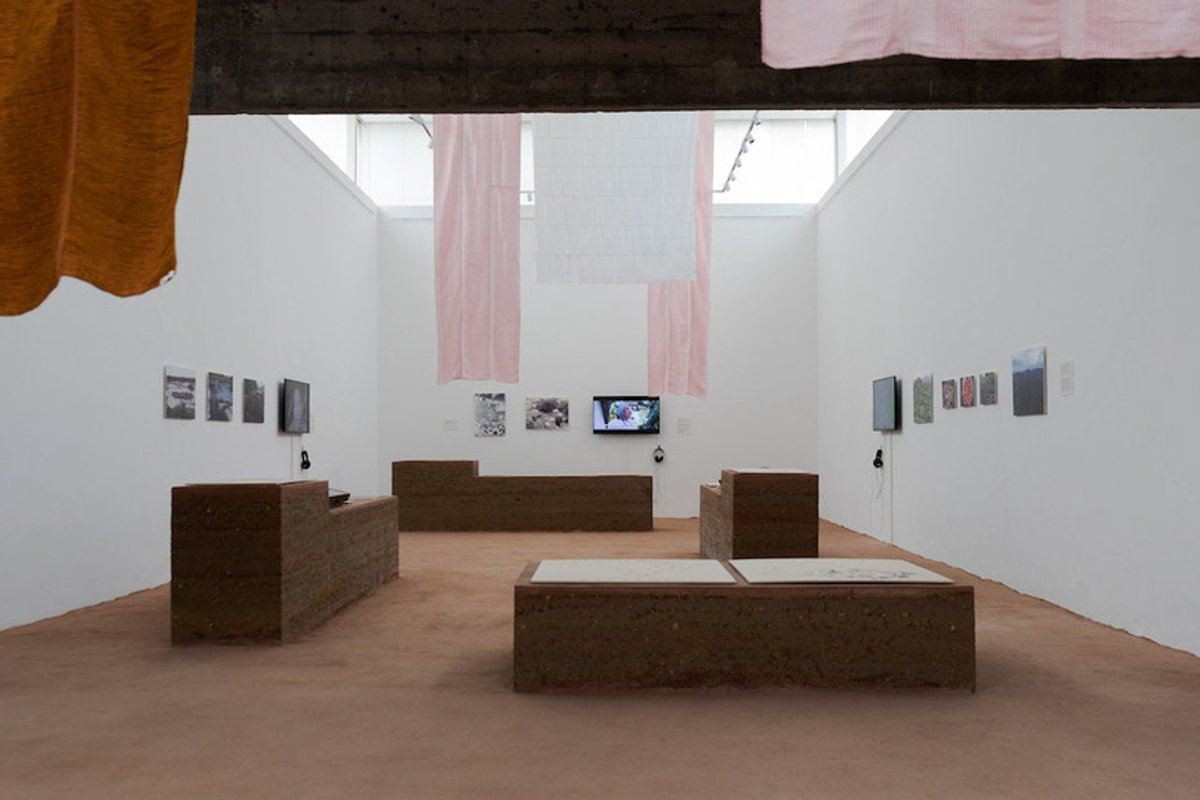 Vue du pavillon brésilien de la 18e Biennale d’architecture de Venise (2023). Photo : Rafa Jacinto