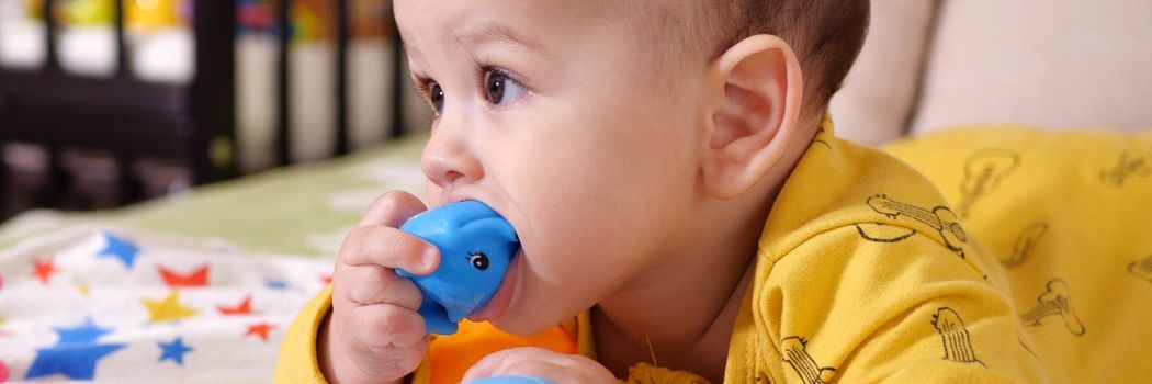 Why Teething Toys? A Look at Babies' Chewing Needs