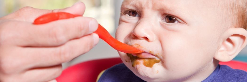 Your Baby's Taste Development - The Best Flavours to Start With