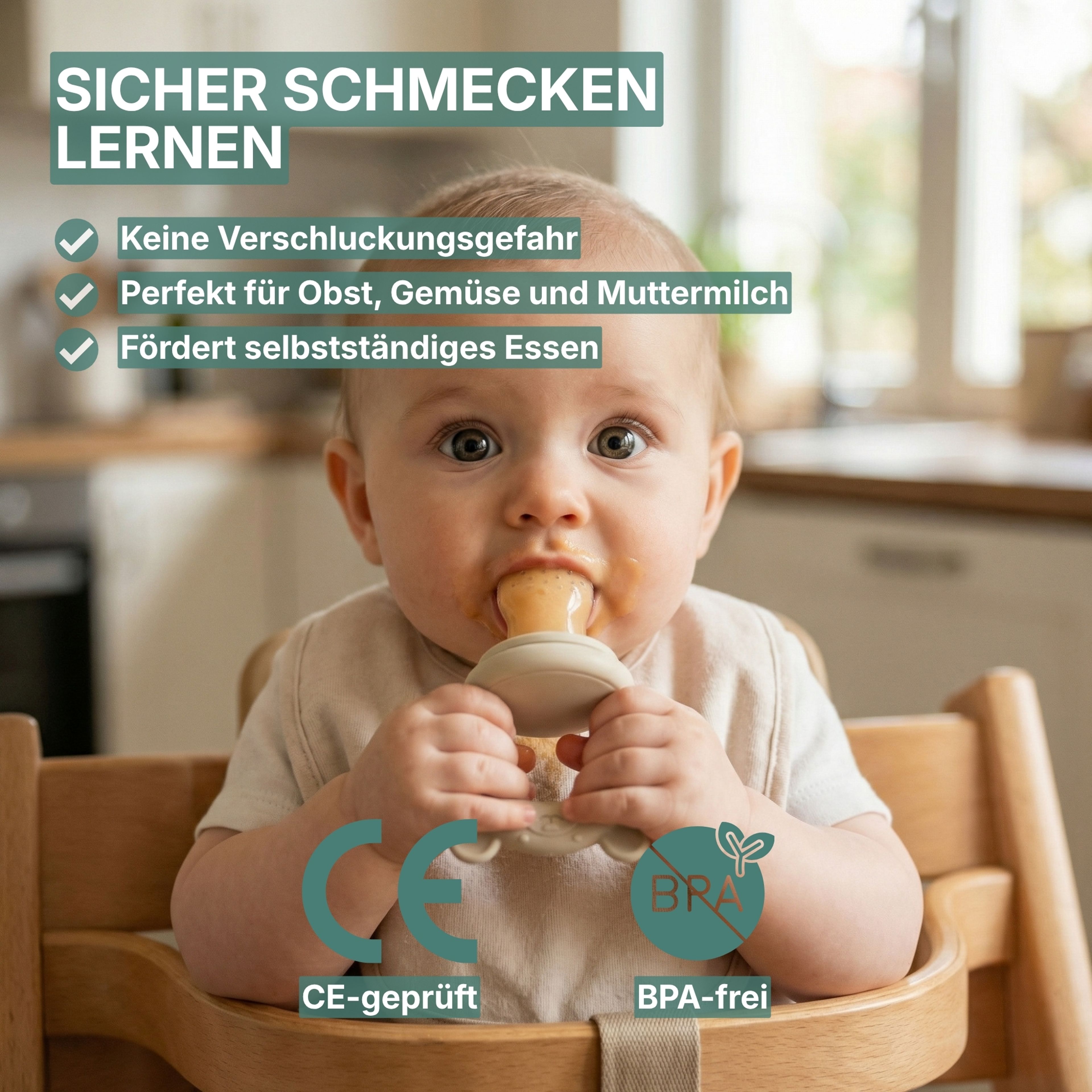 Baby Fruchtsauger + 3 Sauger + Eiswürfelform Beige