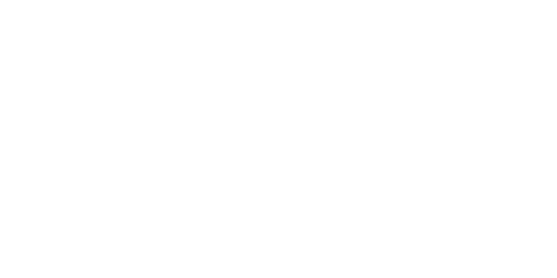 SEORRA LLC Logo White