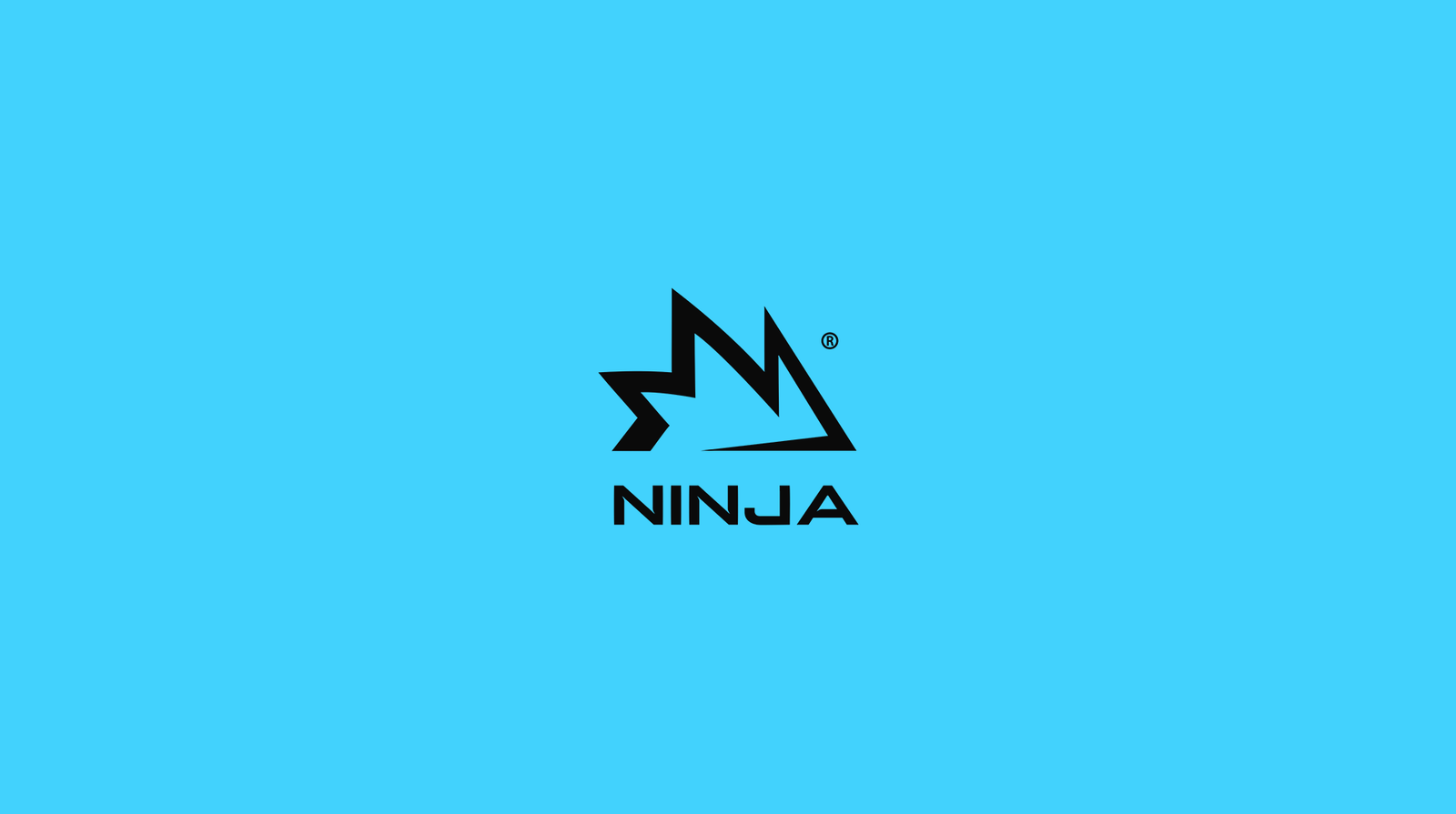 Ninja Brand Identity gallery image 3