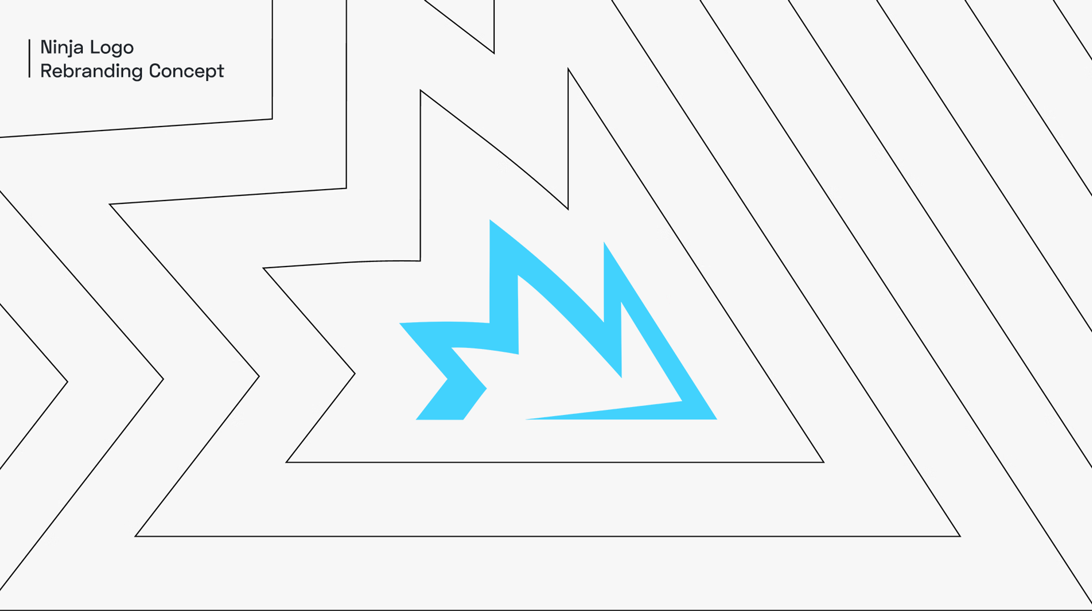 Ninja Brand Identity gallery image 1