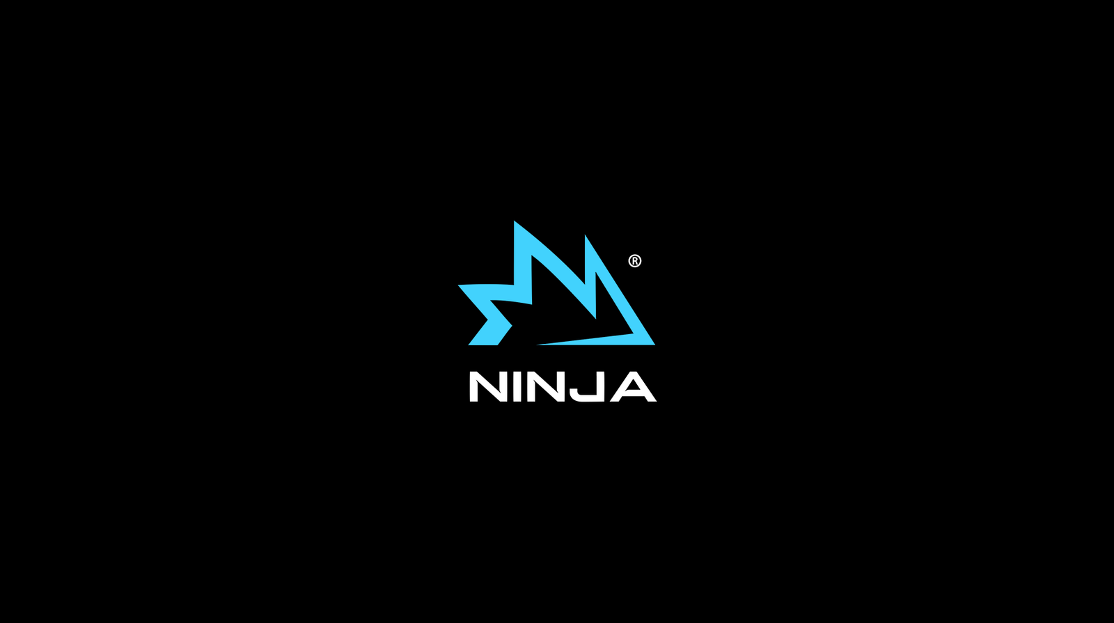 Ninja Brand Identity project image 2