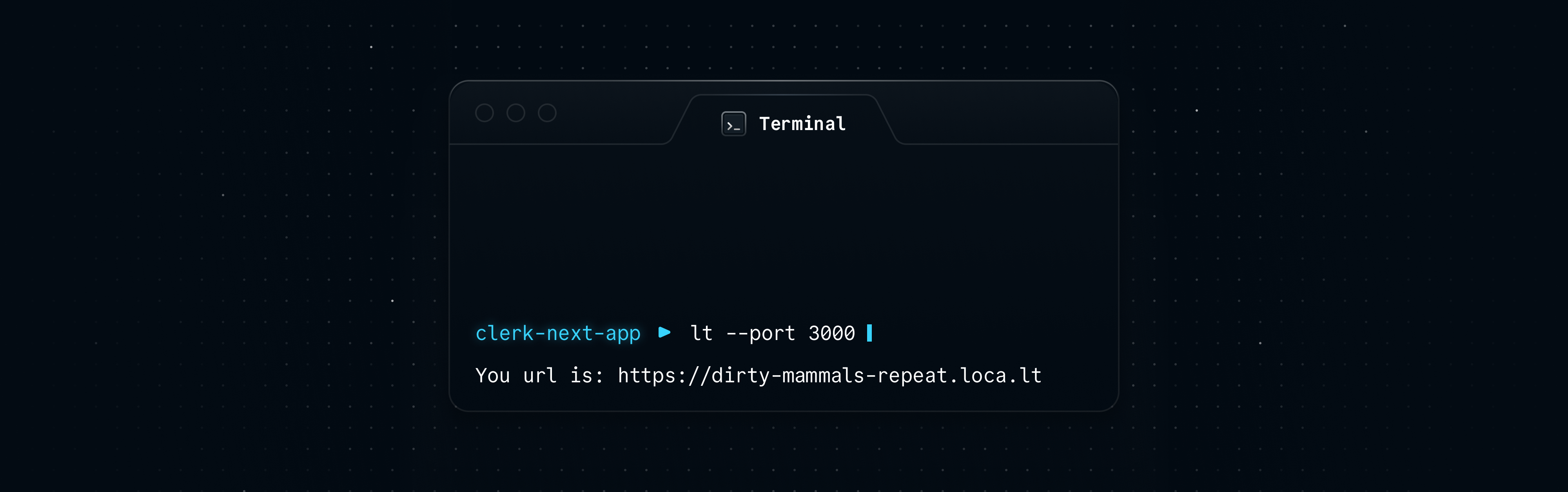 Starting a localtunnel session in the terminal