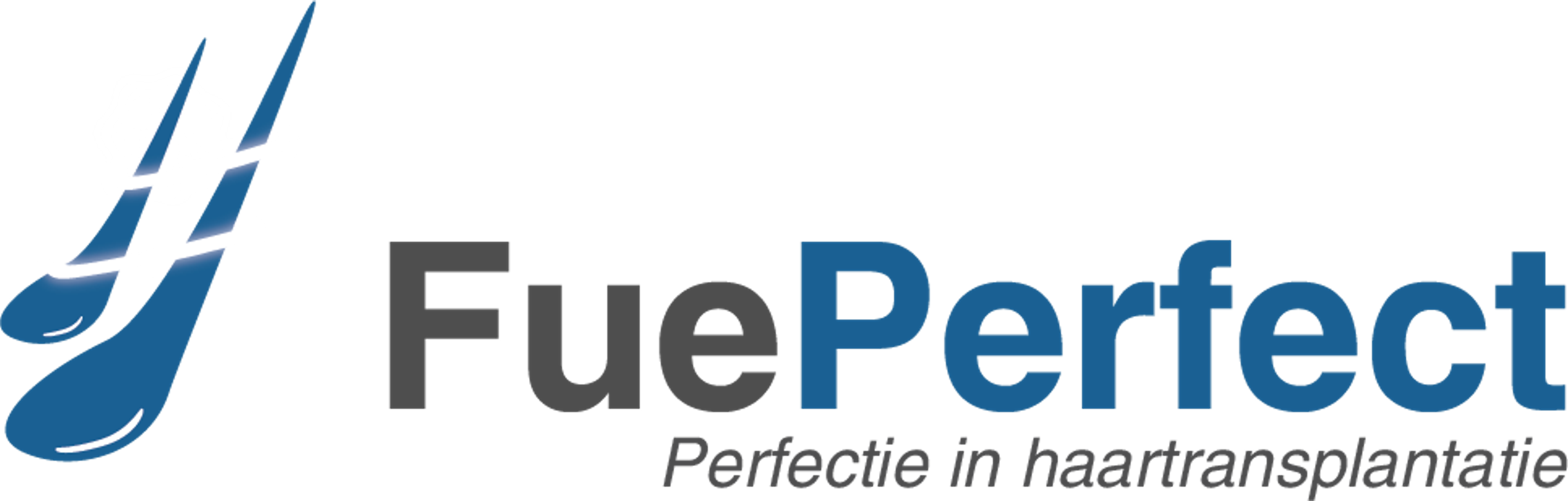 Fue Perfect Email App