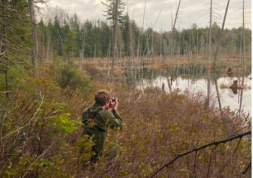 An ecologist taking a photo in a marsh.