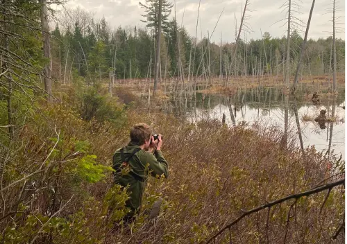 An ecologist taking a photo in a marsh.