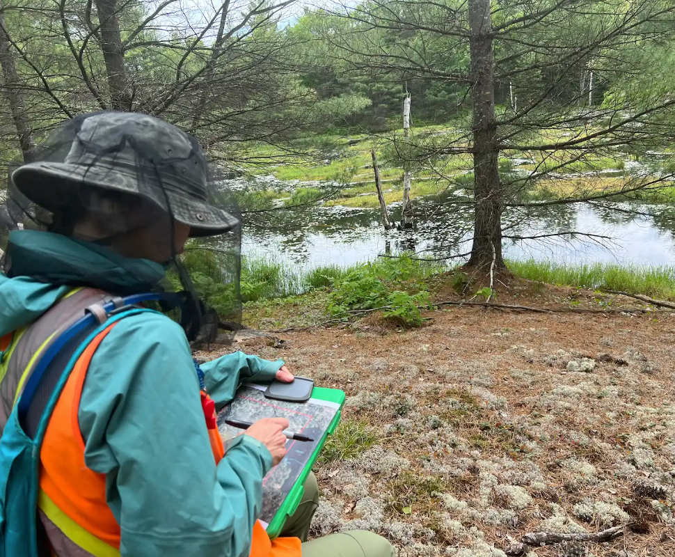 A ecologist mounting a surveying device to a tree.