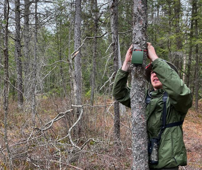 An ecologist setting up a surveying device in a forest.