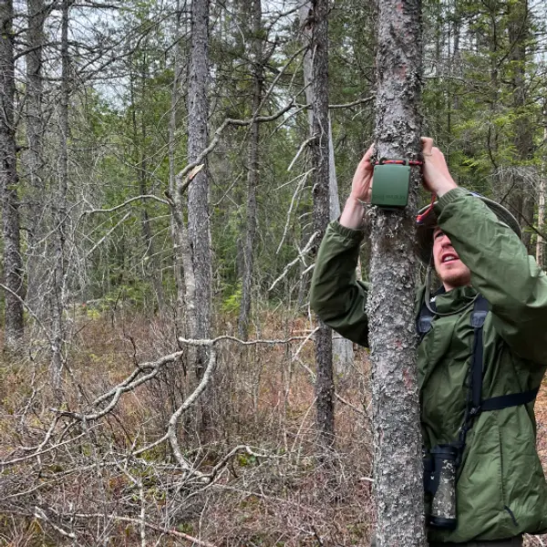 An ecologist setting up a surveying device in a forest.
