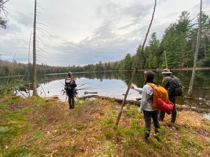 Ecologists surveying in a forested marsh.