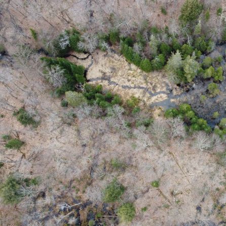 Arial view of forest.