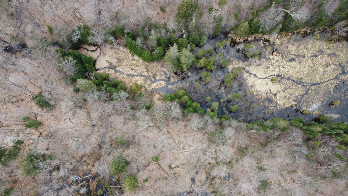 Arial view of a forest and creek.