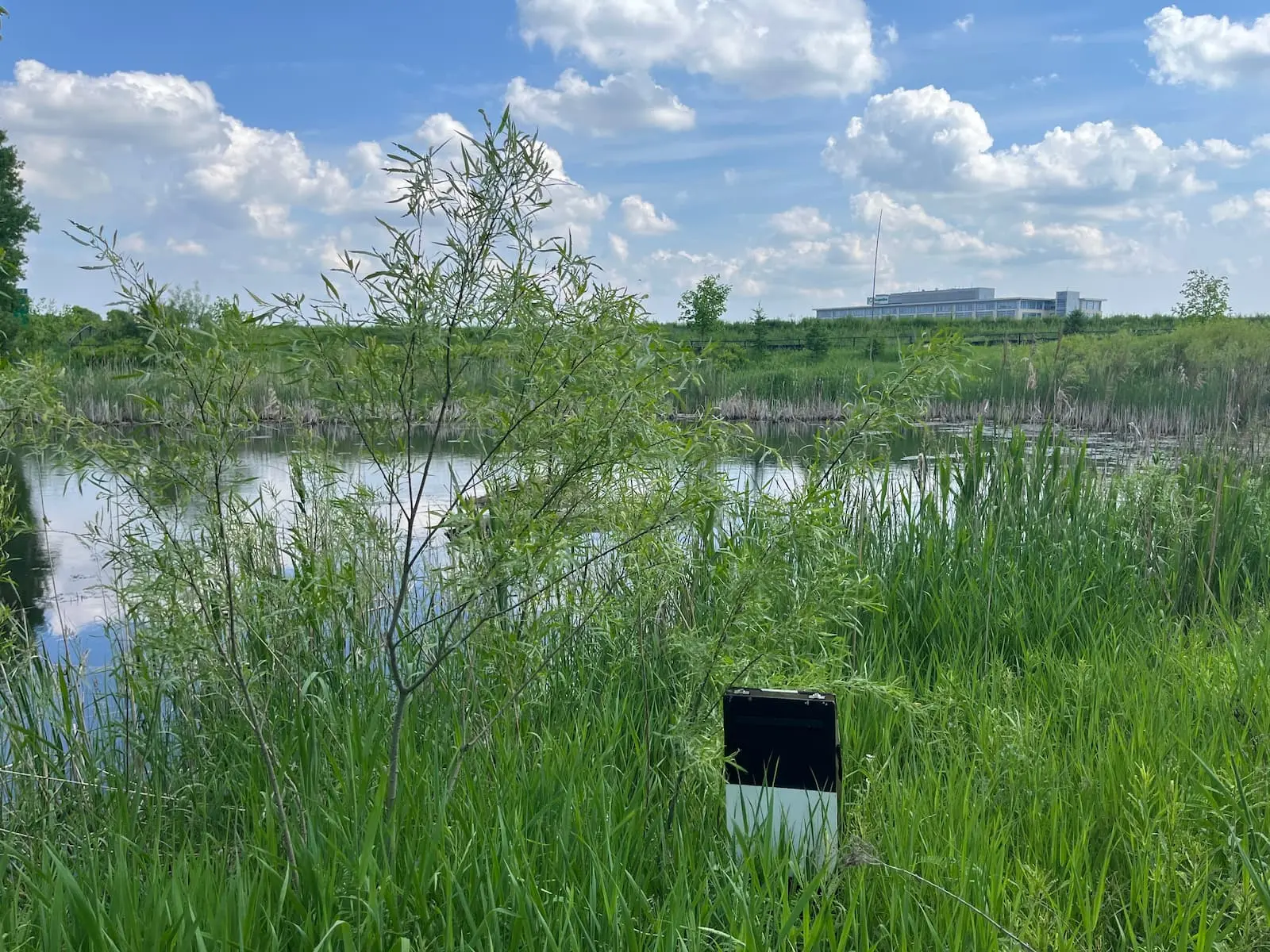 Addison Hall Wetland Design and Monitoring
